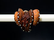 VR-25-05 Green Tree Python Neonate